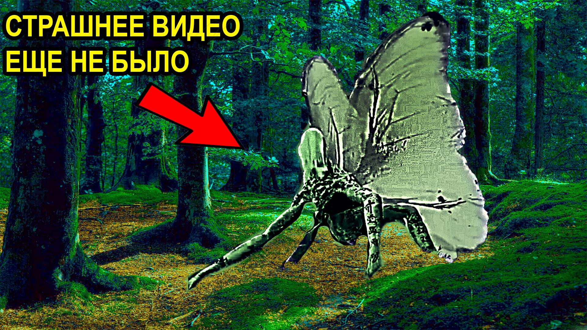 Новые Мистические Видео. Паранормальное. Мистика