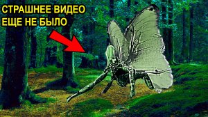 Новые Мистические Видео. Паранормальное. Мистика