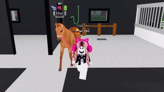  Мини фильм про лошадь  Из деревенского жеребца-в чемпиона мира по скачек 