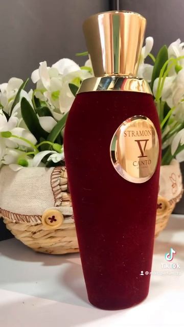 Stramonio V Canto 💐Цена:100ml-3890грн100ml тестер-3540грн. Распив🔝5ml-3 смотреть онлайн