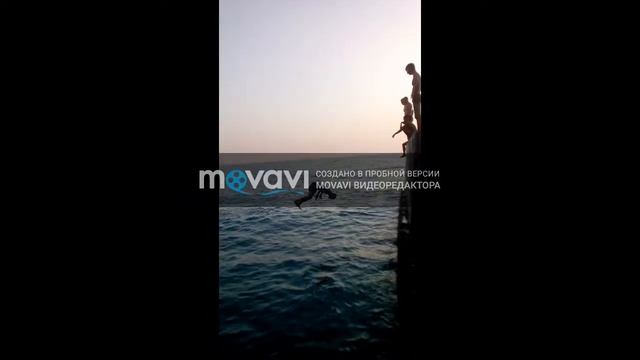 Лучшие прыжки в воду