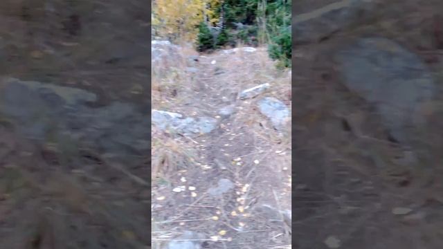 20210926 Юрма, крутой подъём