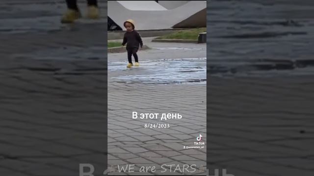 желтая шапка бегает по лужам 24 августа 2024 г.