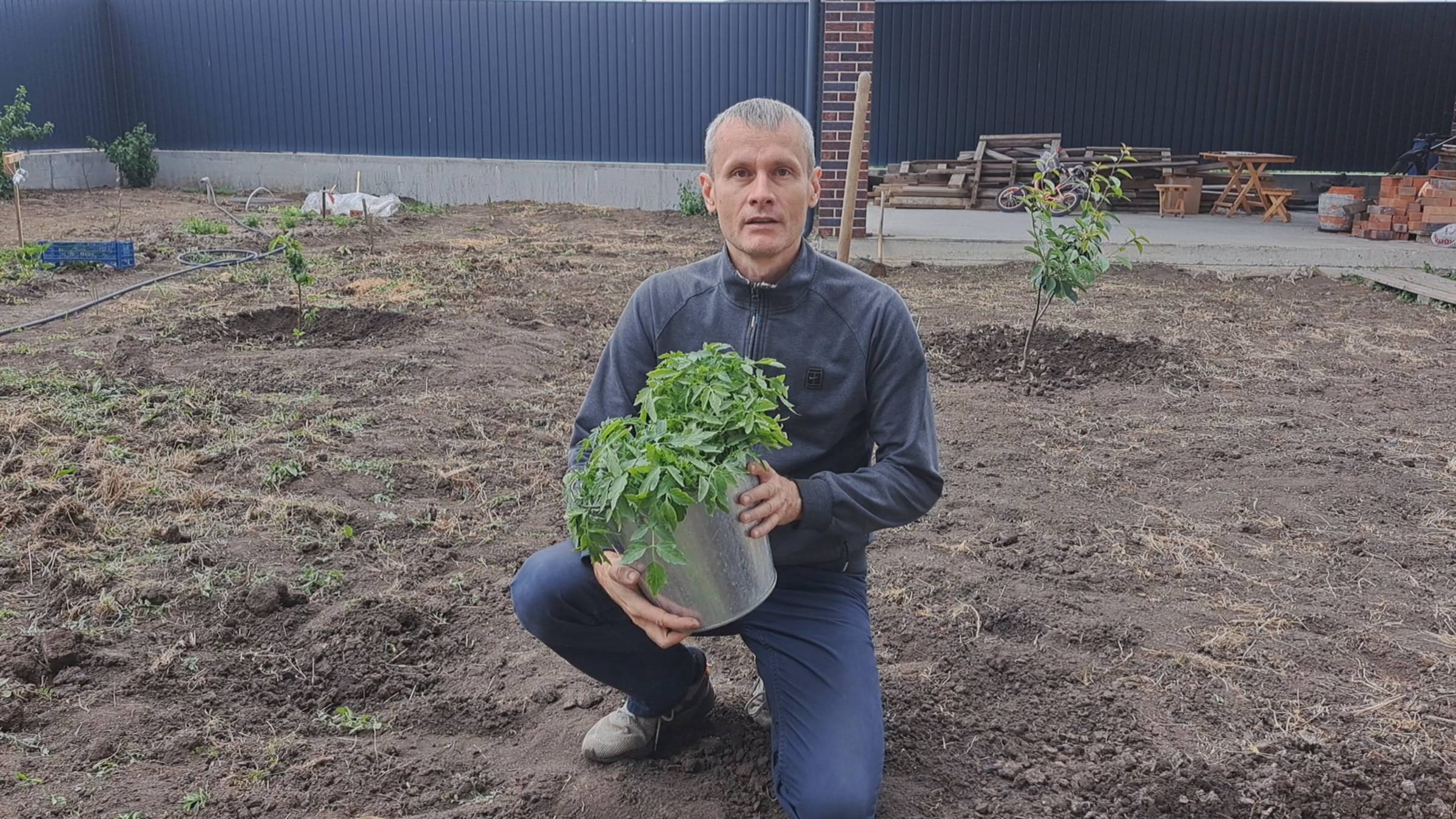 Посадка томатов без танцев с бубнами | Как быстро посадить томаты смотреть онлайн