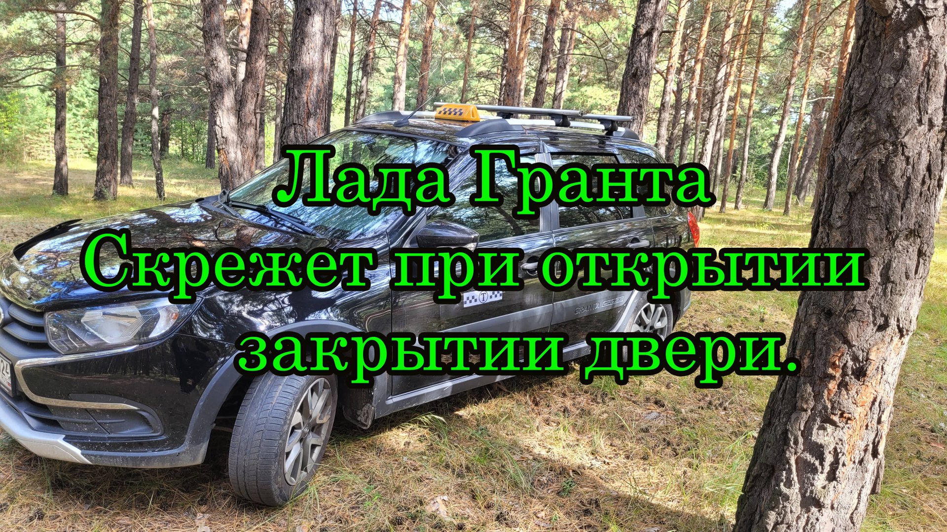 Скрежет при открытии закрытии двери Лада Гранта