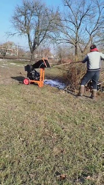 Измельчитель веток ДВ60 Б. смотреть онлайн