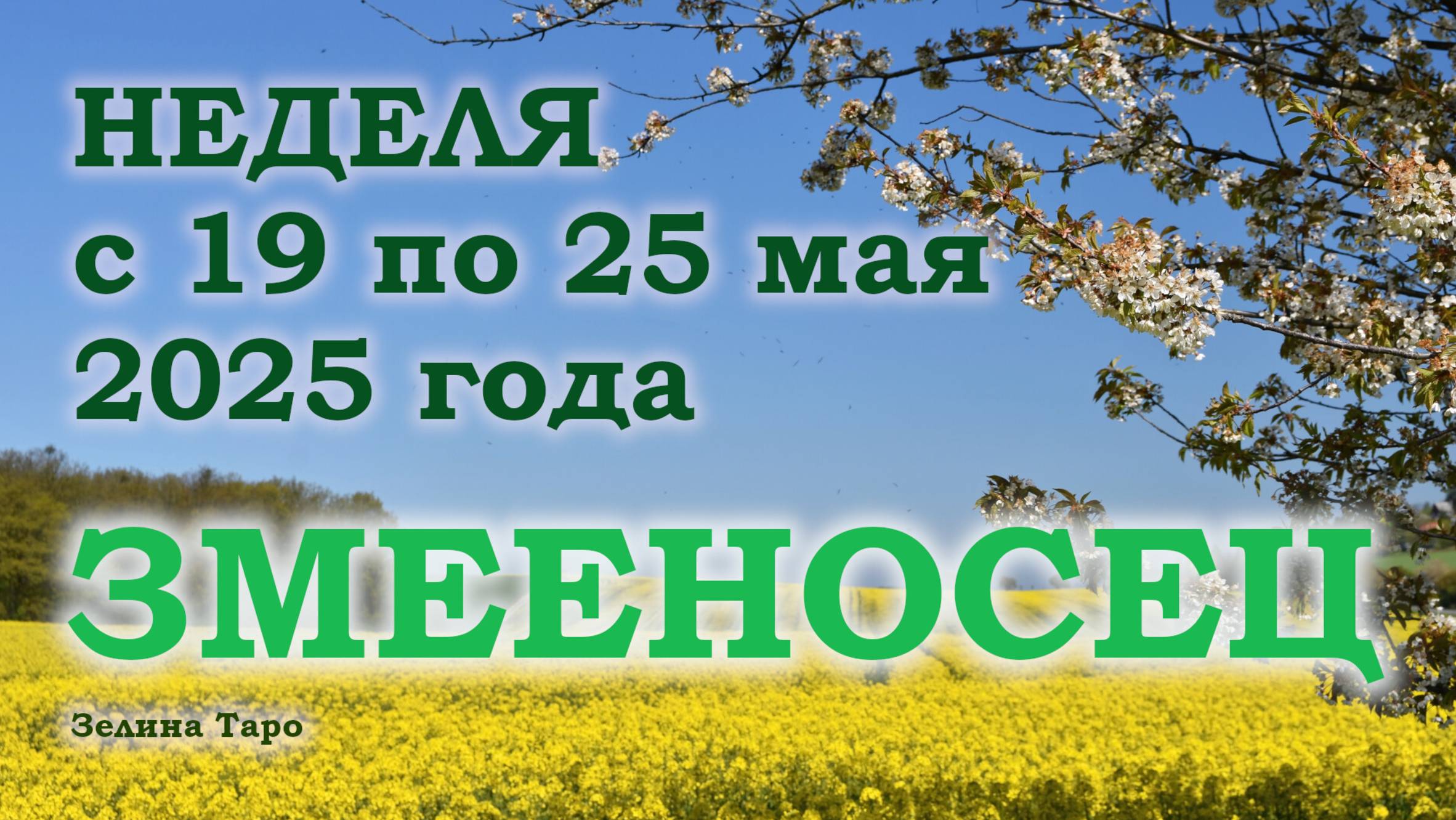 ЗМЕЕНОСЕЦ | ТАРО прогноз на неделю с 19 по 25 мая 2025 года
