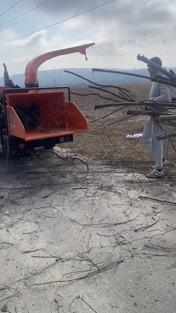 Измельчение веток#арбористы #спилдеревьев #spilarbo #валк?