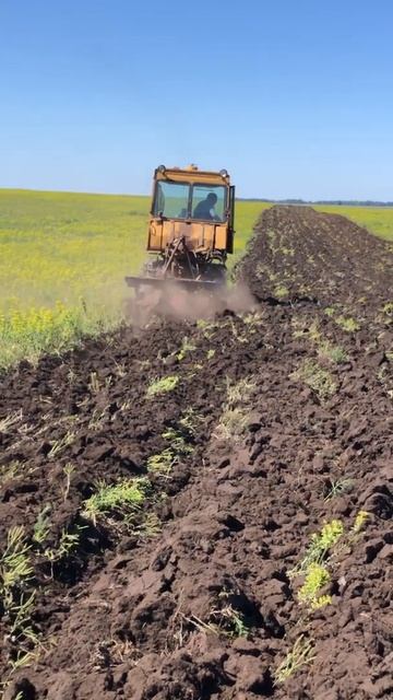 Вспашка паров ДТ-75 смотреть онлайн