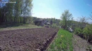 ОТ ВСПАШКИ ДЁРНА ДО БОГАТОГО УРОЖАЯ. ЛЕБЁДКА СЕЛЬСКОХ?