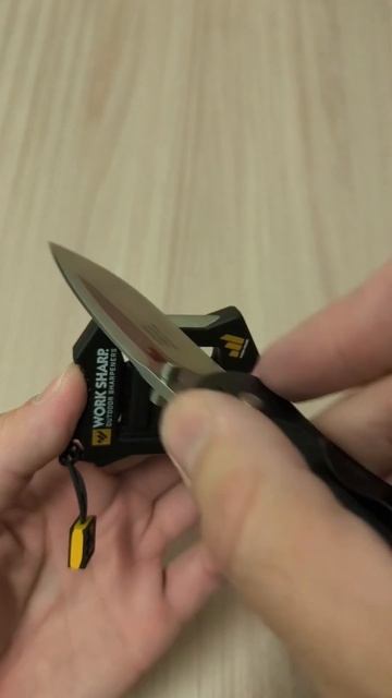 Карманная точилка с торксами от #worksharp #точилка #мульти смотреть онлайн