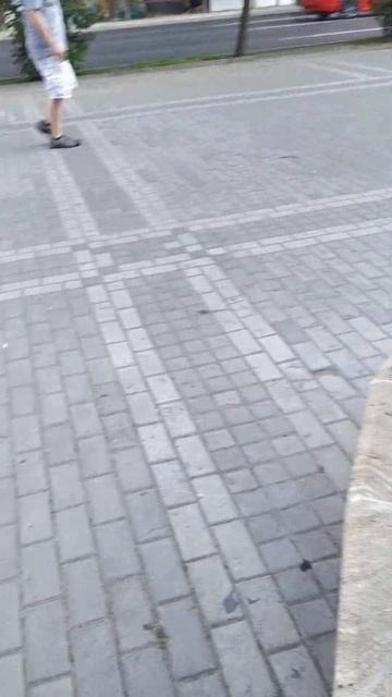 клумба с сидением