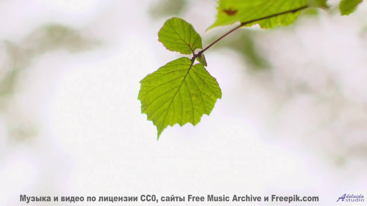 Пейзажи завораживают сильнее, когда звучит такой трек - Risers -- Chad Crouch -- Arps II