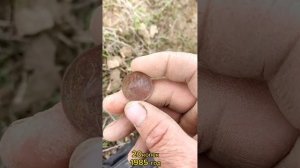 металлоискатель мд 4090 нашел ССР монета