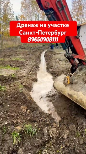 КАК МЫ ОСУШИЛИ БОЛОТО НА УЧАСТКЕ #стройка #дача #участо смотреть онлайн