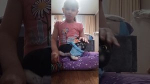 новые 3д коты