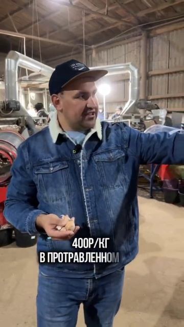 Семенной чеснок Чеснок на посадку Посадочный материа?