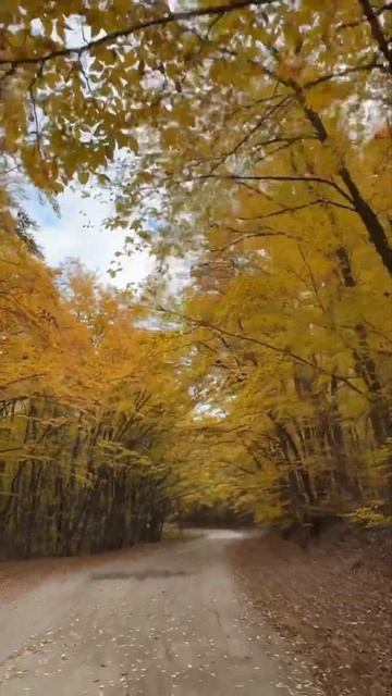 Где такая красивая дорога👇Находится на Ангарском пе?