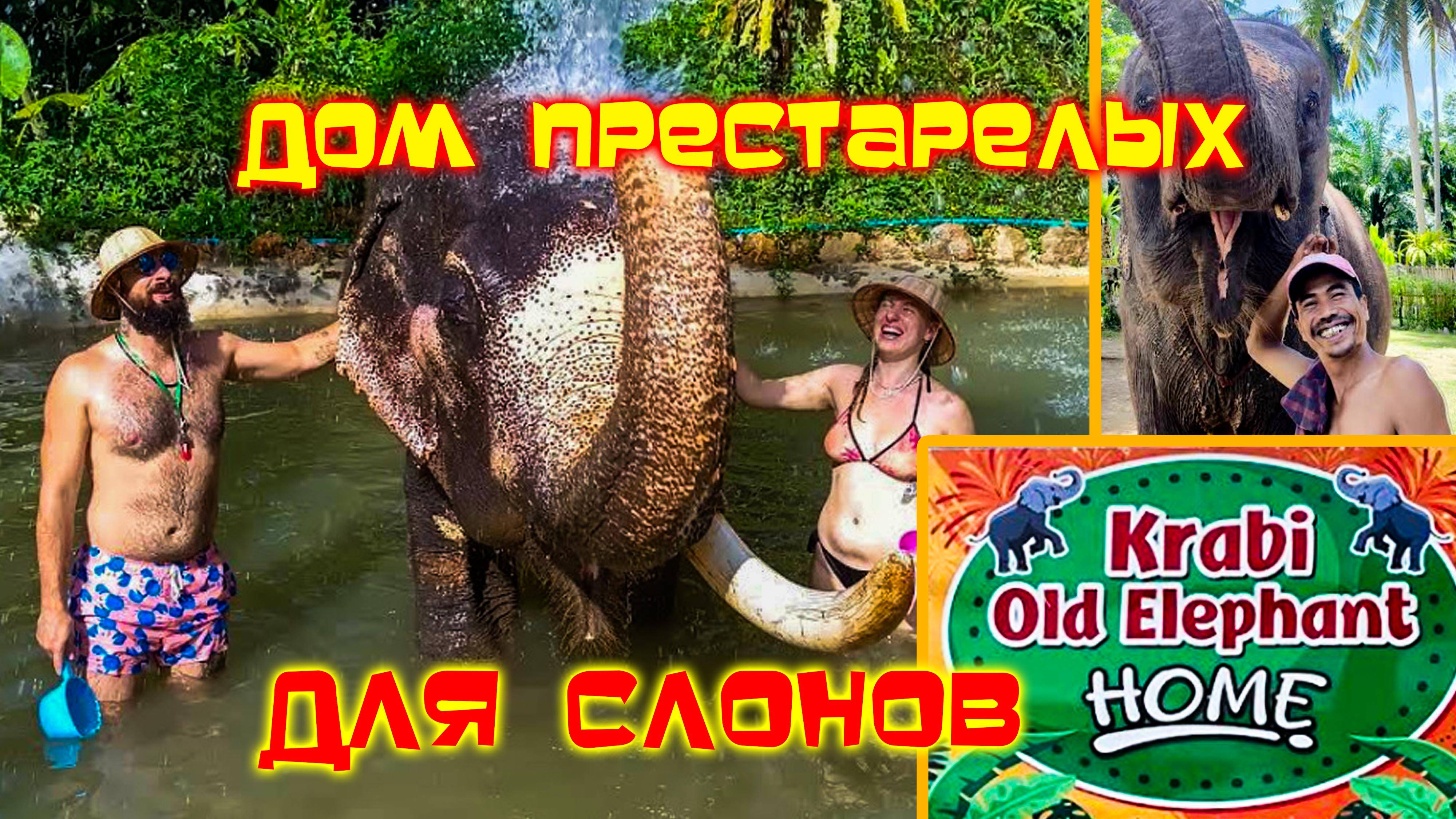 В ШОКЕ от такой встречи / СЛОНЫ на ПЕНСИИ смотреть онлайн