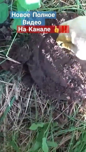 Все Из за Металлолома .. МЕТАЛЛОКОП / ХОББИ И ЗАРОБОТОК смотреть онлайн