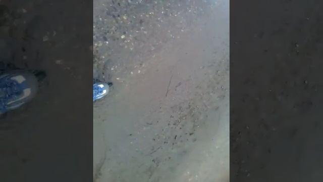 Упал на роликах+катаюсь на роликах😈 смотреть онлайн