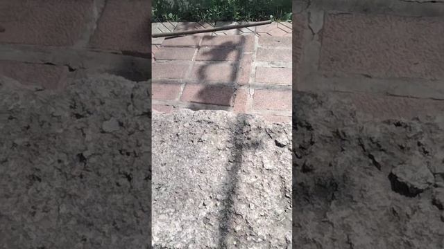 Скатую с лестницы разные предметы смотреть онлайн