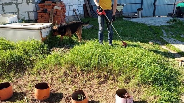 Что может аккумуляторный китайский триммер за 3000р. #об