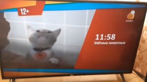 праздничная заставка телеканала сарафан (1мая2024года) (