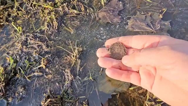 Упс... реально фартило весь коп! Нормально так копанул. смотреть онлайн