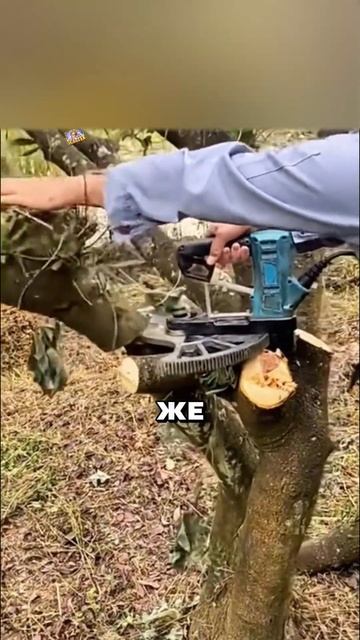 КИТАЙЦЫ ЗАМЕНИЛИ ПИЛУ СЕКАТОРОМ 😳🤣🌳 смотреть онлайн