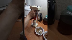 МИНИ  МАСЛОПРЕСС  ХОЛОДНОГО ОТЖИМА .