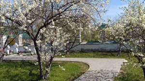 КИРОВ. ТРОИЦКАЯ ЦЕРКОВЬ. ТЕРРИТОРИЯ.