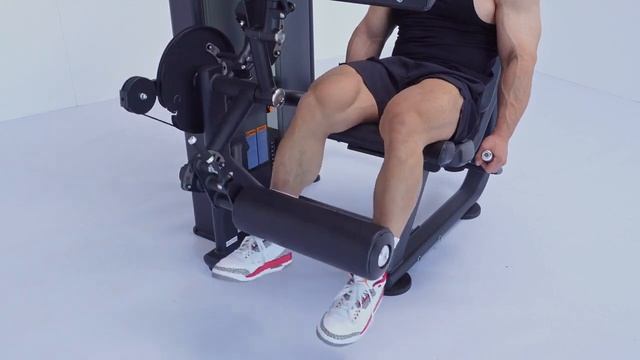 Сгибание-разгибание ног SMITH RE8025