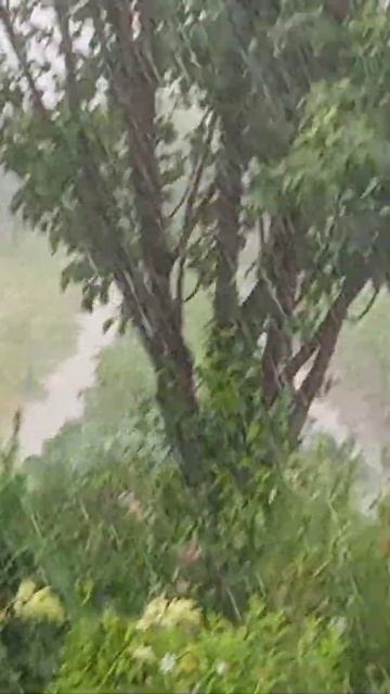 Погодка в Нижнем Тагиле смотреть онлайн