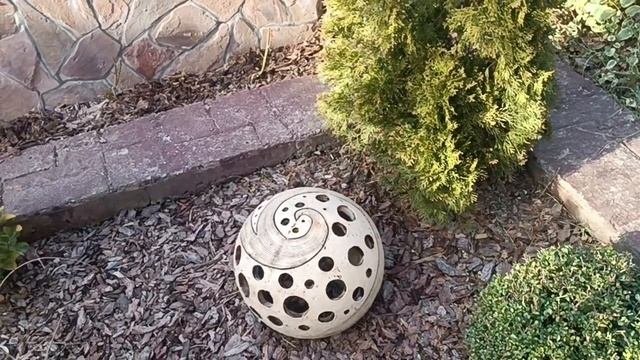 Обработка роз ранней весной смотреть онлайн