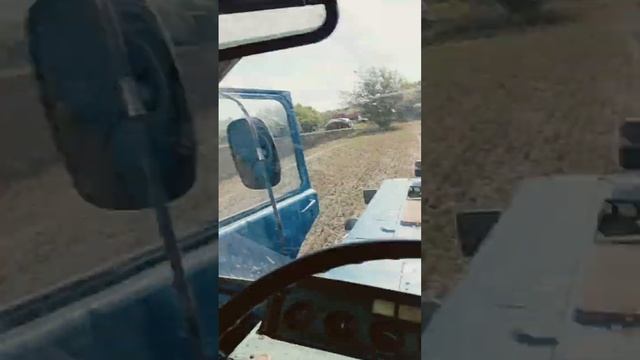 мтз 80 пахо а плугом плн 3-35#зябь смотреть онлайн