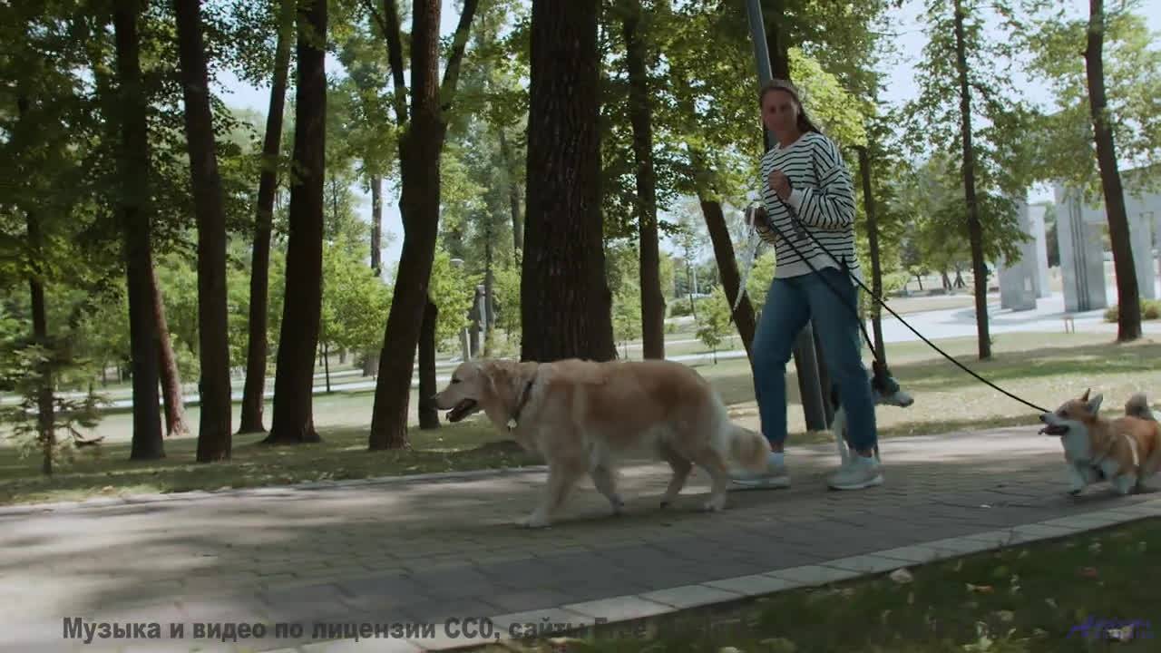 Здесь НИКОГДА не ступала нога человека! - Blind -- Red Crickets -- Red Crickets