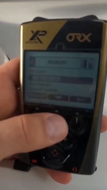 #xp #orx #deus #xpdeusmetaldetector #2024 #коп #find #metaldetecting #металлокоп #ко