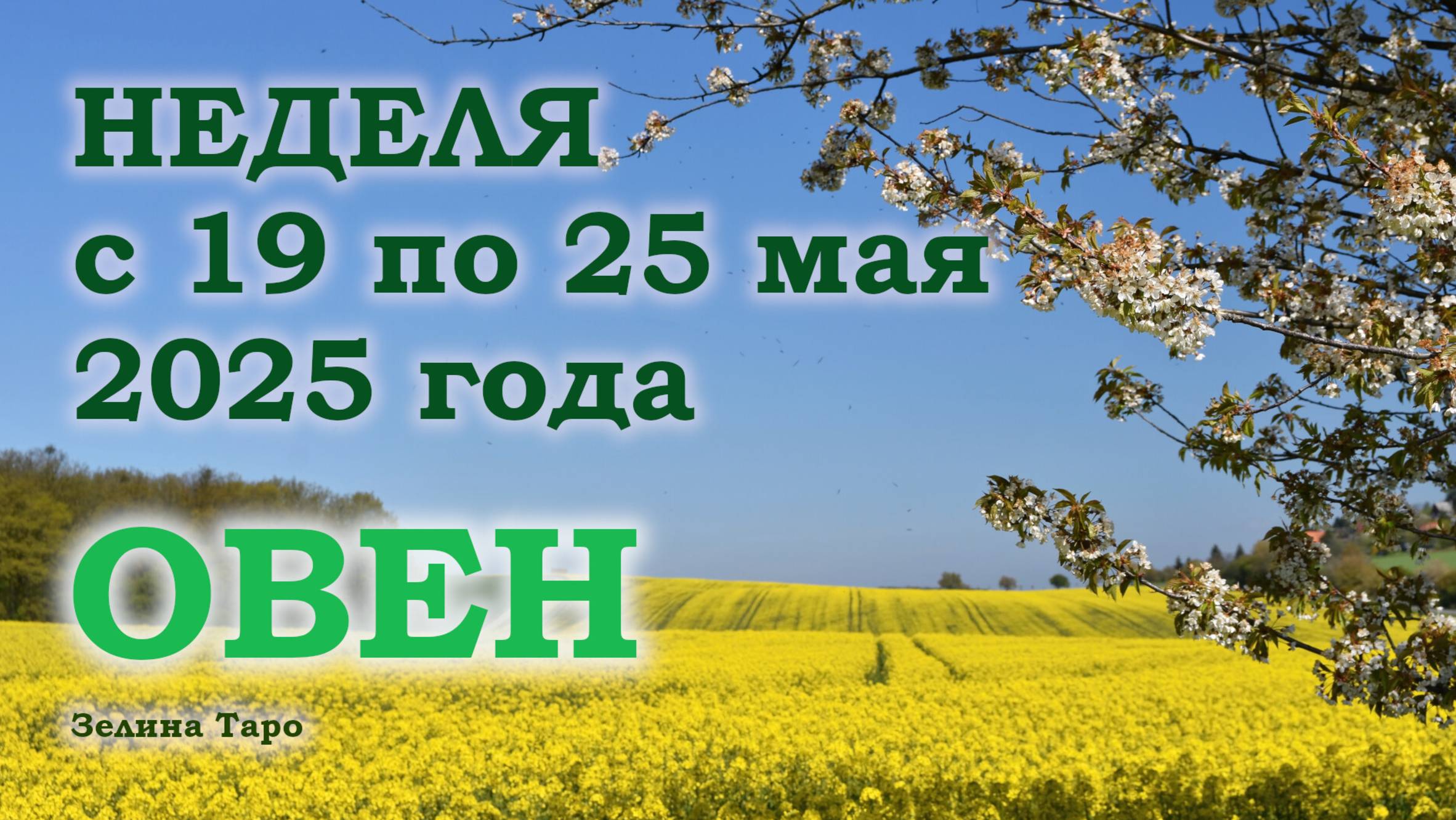 ОВЕН | ТАРО прогноз на неделю с 19 по 25 мая 2025 года