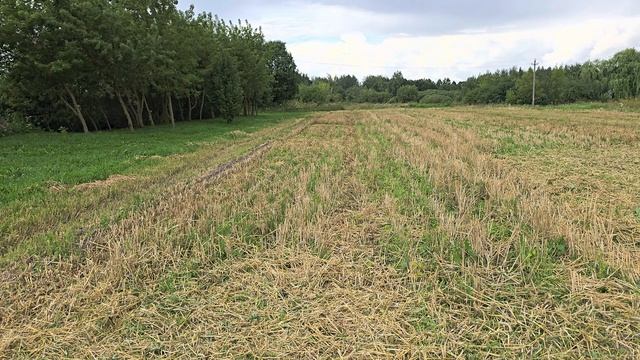 Нагружаю бензокосу леской 3мм. смотреть онлайн