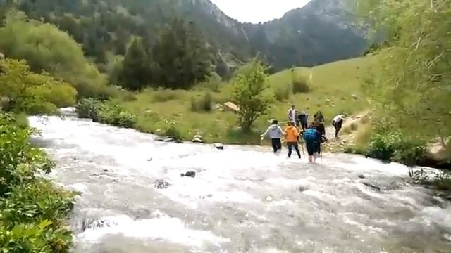 Группа Гармония(1)