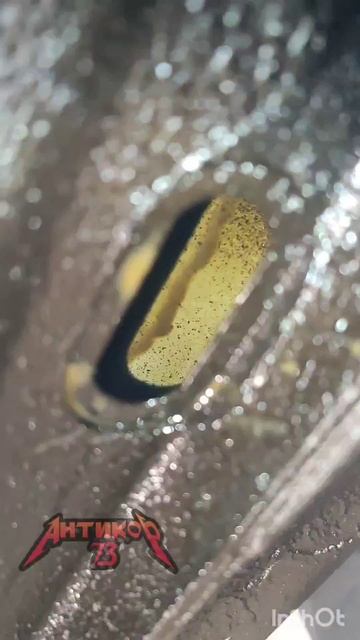 Антикор 73 Skoda Octavia