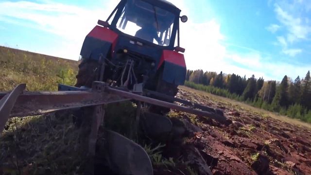 Пашня 2024: снова пашу целину на мтз 82 с плугом плн 3-35