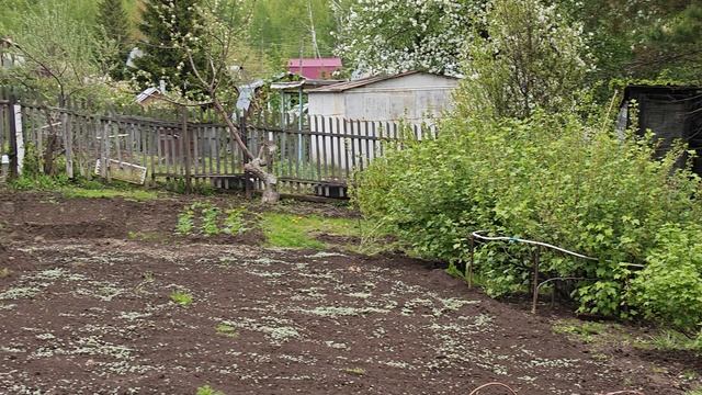 1000057851.mp4 смотреть онлайн