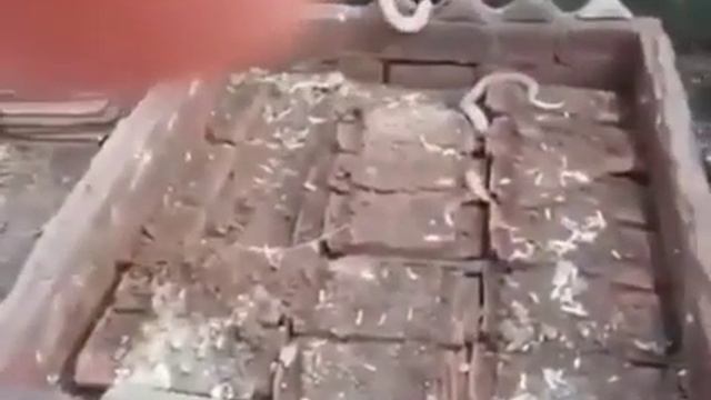 Ахволи одами аз Аллох нотарс дар кабр