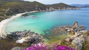 бухта Большая Ежовая | Приморский край | 08.05.25