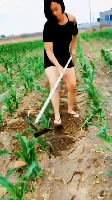 Міжрядний Культиватор КУМ 9 З Рідкими добривами смотреть онлайн