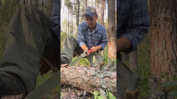 Небольшой обзор и первые впечатления от  пилы Silky BIGBOY 36