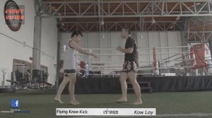 6 видов удара коленом в Муай Тай. Тайский бокс. Муай тай