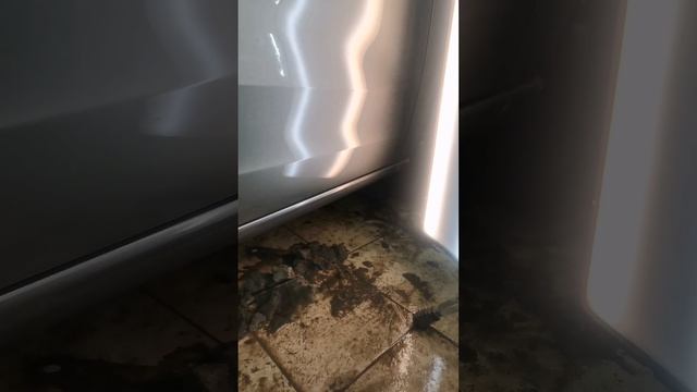 Удаление вмятин без покраски Великий Новгород